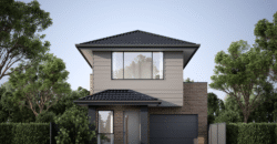 Lot 204 | Ovation
