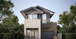 Lot 206 | Ovation