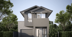 Lot 207 | Ovation