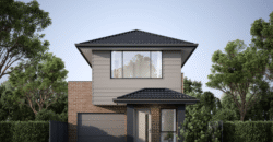 Lot 210 | Ovation