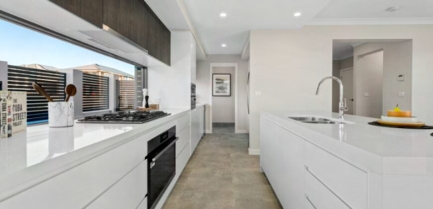 Lot 159 | 19 Delmar St, Box Hill